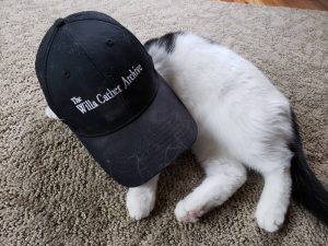 A black and white cat wearing a hat that says "The Willa Cather Archive," her face is entirely covered